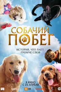  Собачий побег  смотреть онлайн в хорошем качестве